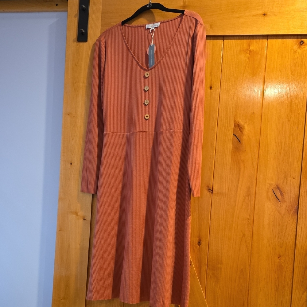 Long Sleeve Scoop Neck Dress